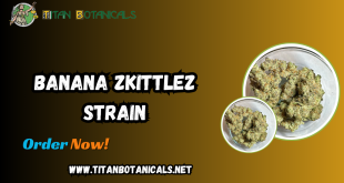 Banana Zkittlez strain