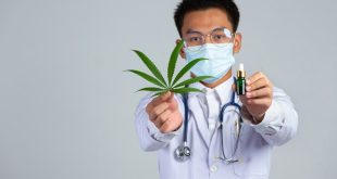 Cannabis Strain for Pain Relief