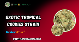 Exotic Tropical Cookies Strain