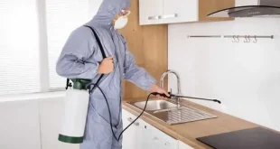 Pest Control in Lahore and Guide Pest Control Services