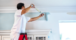 Top Quality Painting Services in Loveland - Affordable & Expert