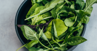 Fresh MicroGreens in Surprise – Healthy, Local & Delicious
