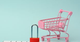 Ways to Secure Customer Data on eCommerce Websites