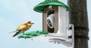 dokoo bird feeder camera for birdlovers