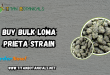 buy bulk Loma Prieta Strain