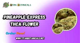 Pineapple Express THCa Flower