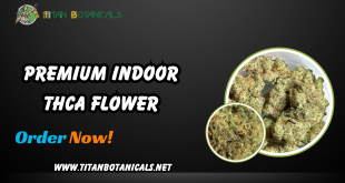 premium indoor THCa flower