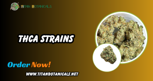 THCA Strains