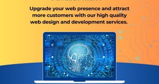 web design and development