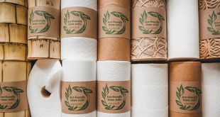 Kitchen Tissue Rolls | Private Label Brand | V.Soft