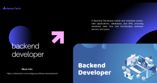 backend developer