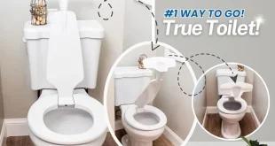 urinal toilet for home