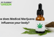 How does Medical Marijuana influence your body?