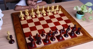 Luxury Chess Pieces