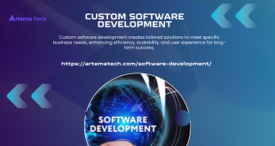 custom software development