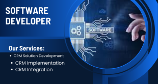 Software Development Life Cycle Phases