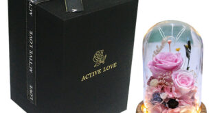 Celebrate Love with PetalGlow's Exclusive Valentine's Day Gifts