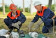 Electrician Can Help You Reduce Industrial Energy Waste