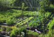 How to Start an Organic Garden