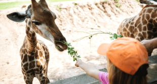 Emirates Park Zoo