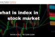 what is index in stock market