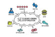 SEO Training