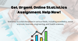 online statistics assignment help